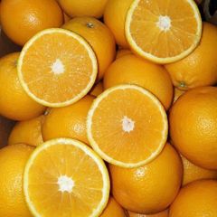 Class 1 Export Quality South African Oranges, Navel, Valencia, Cara Cara Oranges, BULK SUPPLY!! – product photo 3, product detail gallery