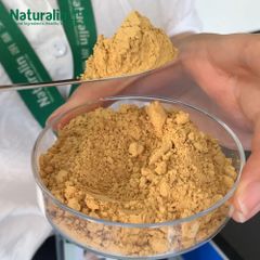 Milk Thistle Extract - Image 4