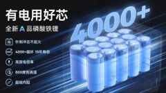 Efficient Home Energy Storage Units for Eco-Friendly Power Origin Zibo Outdoor 1000 Trademark troch HS Code 8507600090 Model NO. - Image 6