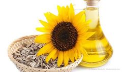 pure nature refined sunflower vegetable oil premium grade sunflower oil with cholesterol free canola oil refining 5l sunflower - Image 4