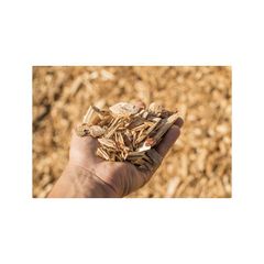 Wholesale supplier of premium Wood Shavings  - Image 1
