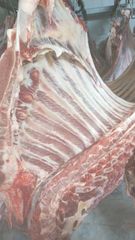 100%  Fresh Chilled Bull Beef - Image 7