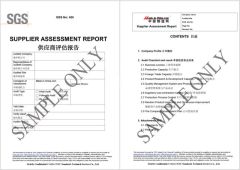 Produced by SGS certificate of Xuzhou Runyi New Material Co., Ltd. – certificate photo, supplier certificates section