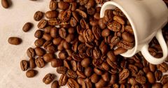 Vietnamese Robusta Coffee Beans Grade 1, Screen 18 (Wet Polished). – product photo 3, product detail gallery