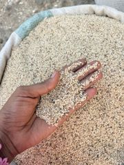 Seseme seeds – product photo 5, product detail gallery