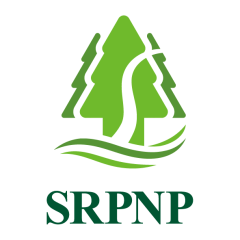 Ningbo Sure Paper Co., Ltd