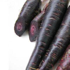 Health Food Natural Black Radish Powder - Image 2