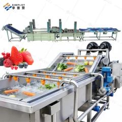 Commercial Fruit Vegetable Processing Line Bubble Washing Drying Sorting Machine for Mango Avocado Date Orange Lemon - Image 1