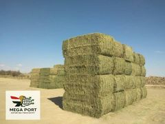 Alfalfa Hay – product photo 1, product detail gallery