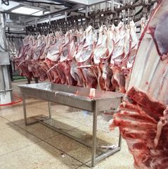 Fresh Beef and Veal Meat - Image 1