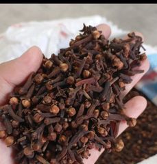 Whole Clove - Image 4