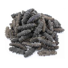 Dried Sea Cucumber - Image 3