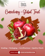 Company – thumbnail 4 of 4, supplier detail gallery