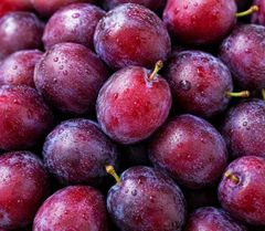 Fresh Stone Fruits, Nectarines, Peaches, Apricots and Plums for Sale!! Class 1 export quality Stones fruits for export – product photo 5, product detail gallery