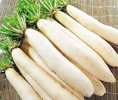 VEGETABLE MARKET PRICE FRESH WHITE RADISH Type Radish Style Fresh Color White Weight (kg) 1 Taste Delicious Model Number - Image 2