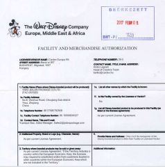 Disney Audit certificate from Yiwu Jialan Package Co., Ltd.