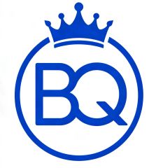 Dongguan Blue Queen Accessories Co., Limited