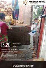 Semi Husked Coconut, Grade A, Origin Sulawesi-Indonesia – product photo 1, product detail gallery