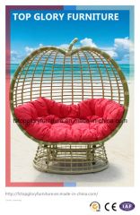 Wicker Furniture Handing Swing Rattan Chair (TGDL-059) - Image 1