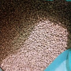 Arabica Coffee Beans Toraja, Indonesia Grade 1 Moisture Content 12% Origin Toraja, Indonesia Altitude 1,200 – 1,800 - Image 1