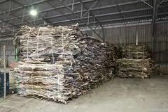 Dry Cow Hides - Image 1