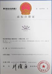 Trademark certificate from Shenzhen Hopesun Solar Technology Co., Ltd