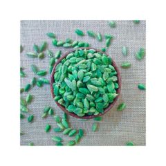 Bulk supply green cardamom premium quality spice export ready packaging - Image 1