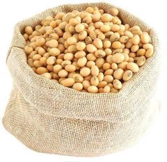 Export Quality Soybeans from India – Bulk Supply - Image 1