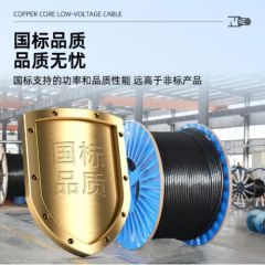 Copper Power Cable 70mm2 XLPE Power Cable Color Black Origin China Brand Qingxin Trademark QINGXIN Sheath Material PVC Specifications 3 - Image 3