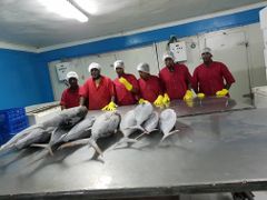 Frozen whole round groupers – product photo 4, product detail gallery