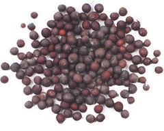 Black Mustard Seeds Single Herbs Spice High Quality Mustard Seeds Custom Packaging Wholesale Black Mustard seed Trusted Supplier - Image 3