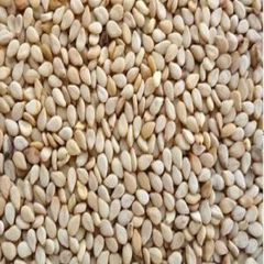 Sesame seed – product photo 2, product detail gallery