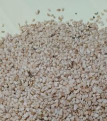 Sesame seeds – product photo 1, product detail gallery