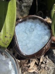 Nata de Coco in Syrup, Raw Nata de Coco – product photo 2, product detail gallery