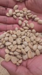 coffee arabica – product photo 1, product detail gallery