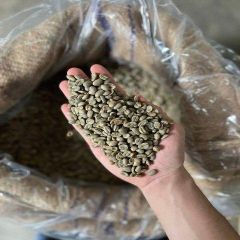 Dallmayr Prodomo coffee 500g Instant coffee Grade A Content Coffee Type Dallmayr Prodomo - Image 3