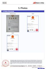 SGS report certificate of Qingdao Zhenlilai I/E Co., Ltd – certificate photo, supplier certificates section