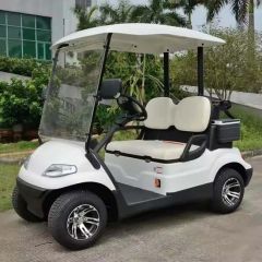 24V Electric Car Golf Cart Electric Golf Trolley Golf Equipment - Image 3