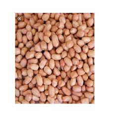 High quality Raw Bold peanuts 40/50 Nature 100% Organic Raw Peanuts Groundnut Healthy Export from India - Image 4