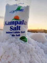 Kampala 500g P. E. Sack Iodated Edible Salt | Refined Table Salt | Egypt Wholesale - Image 2