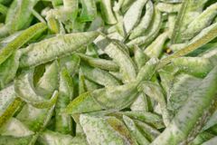 Indian Supplier Fruit & Vegetable Products Organic Dried Kiwi Rings Naturally Sweet Ingredient for Baking and Cooking for Sale - Image 4