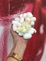 100% Raw Natural Silk Fiber Mulberry Silk Worm Cocoon for Skincare - Image 4