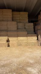 Hay Grass - Image 5
