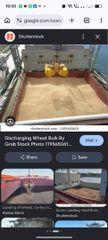 Wheat bran, soft wheat milling, soybean/sunflower crude /refined - Image 1