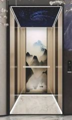 Factory Direct Sales Homes Passenger Elevator Price Persons <5 Origin China Model NO. 007 HS Code 842810 Speed <1.00m/s Capacity - Image 6