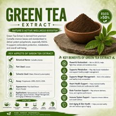 Green Tea Extract Powder – Standardized EGCG | Nutraceutical & Dietary Supplement - Image 1