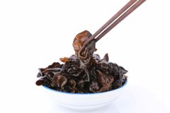 Black Fungus - Image 5
