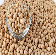 Kabuli Chickpeas in Bulk Export Style Dried Chickpeas - Image 2