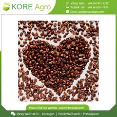 New Collection Best Arabic Coffee Beans 100% Natural Coffee Beans From Indian Manufacturer - Image 4