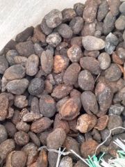 Shea Nut – product photo 1, product detail gallery